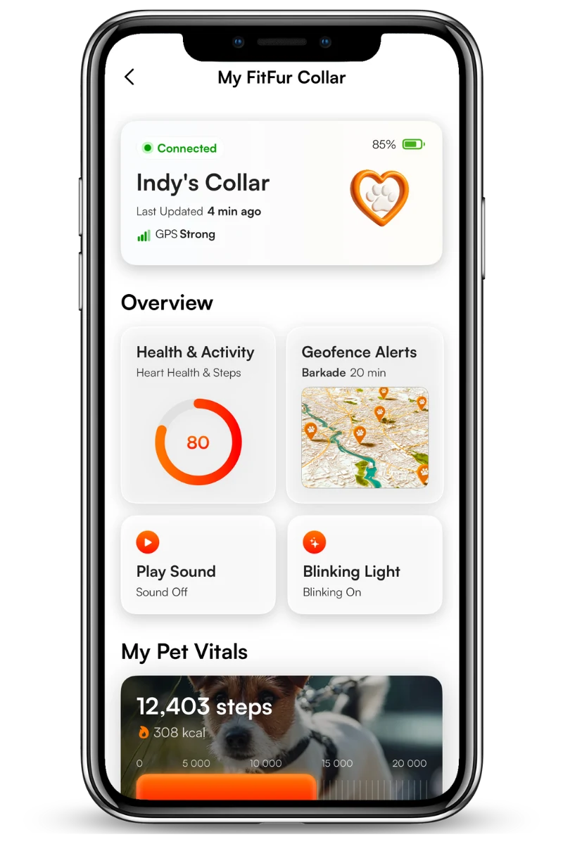 FitFur collar screen showing connection state, battery, GPS strength, activity score, geofence alerts, and step count