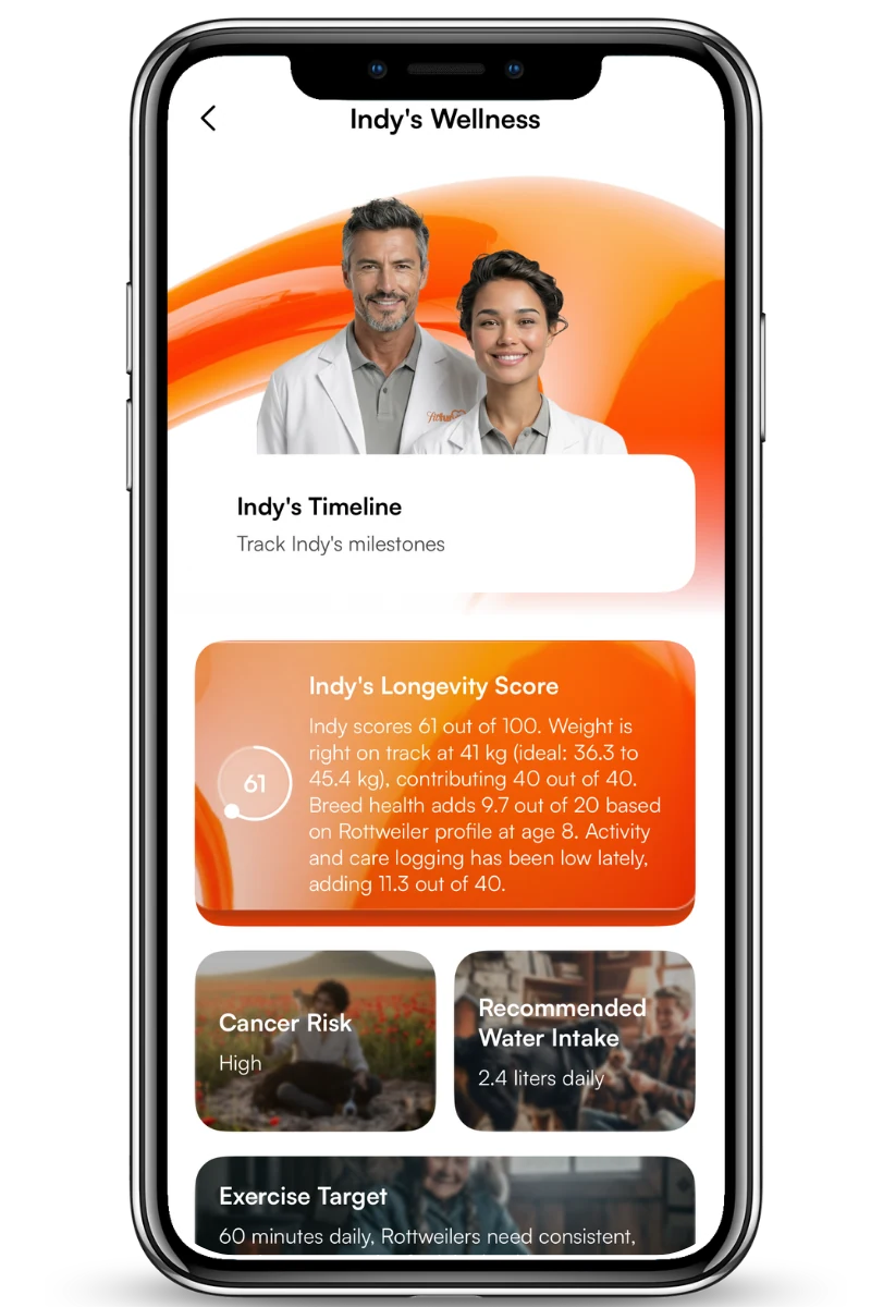 FitFur longevity score screen breaking a score of 61 into weight, breed profile, and activity components